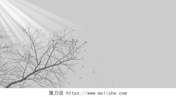 灰色水墨风树枝展板背景自然光影背景